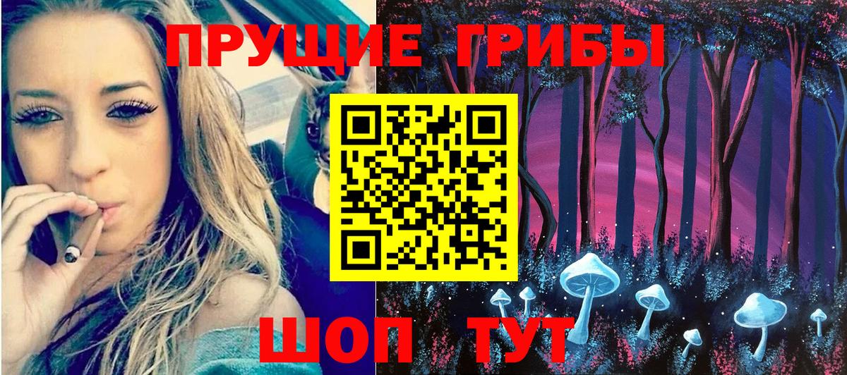 Галлюциногенные грибы мицелий  Галлюциногенные грибы мицелий  Вход с VPN  Алексеевка 