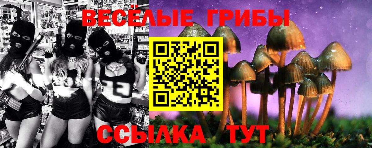 цена   Алексеевка  Псилоцибиновые грибы ЛСД 