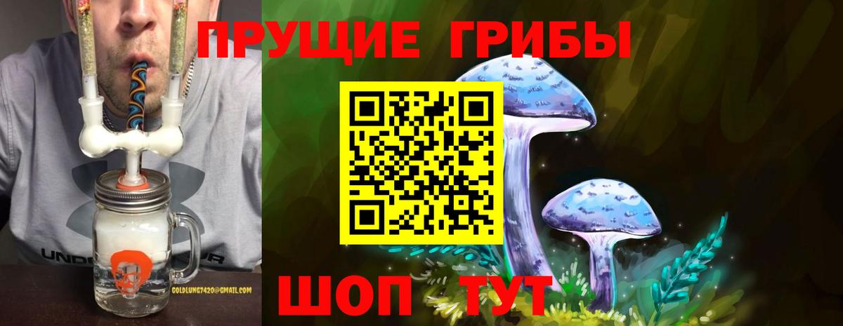 Галлюциногенные грибы Magic Shrooms Алексеевка